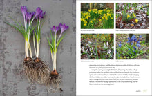 Load image into Gallery viewer, Front Cover