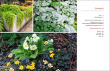 Load image into Gallery viewer, Front Cover