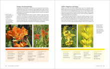 Load image into Gallery viewer, Front Cover