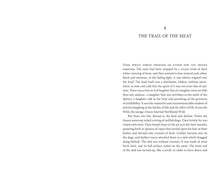 Load image into Gallery viewer, Front Cover
