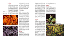 Load image into Gallery viewer, Front Cover