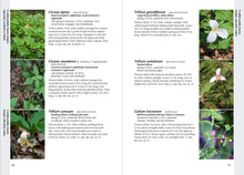 Load image into Gallery viewer, Front Cover