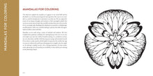Load image into Gallery viewer, Front Cover