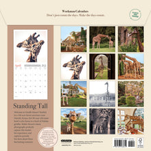 Load image into Gallery viewer, Front Cover