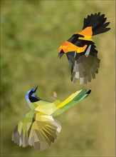 Load image into Gallery viewer, Front Cover