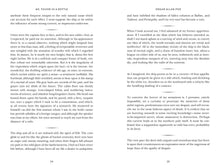 Load image into Gallery viewer, Front Cover