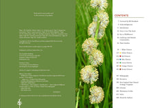 Load image into Gallery viewer, Front Cover