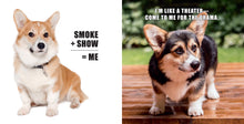 Load image into Gallery viewer, Front Cover