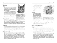 Load image into Gallery viewer, Front Cover