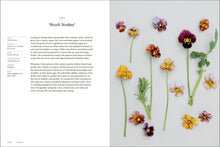 Load image into Gallery viewer, Front Cover