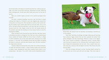 Load image into Gallery viewer, Front Cover