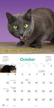 Load image into Gallery viewer, Front Cover