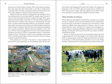 Load image into Gallery viewer, Front Cover