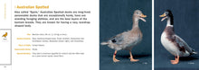 Load image into Gallery viewer, Front Cover
