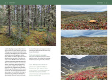 Load image into Gallery viewer, Front Cover