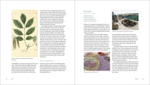 Load image into Gallery viewer, Front Cover