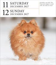 Load image into Gallery viewer, Front Cover
