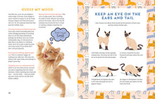 Load image into Gallery viewer, Front Cover
