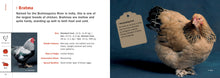 Load image into Gallery viewer, Front Cover
