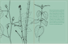 Load image into Gallery viewer, Front Cover
